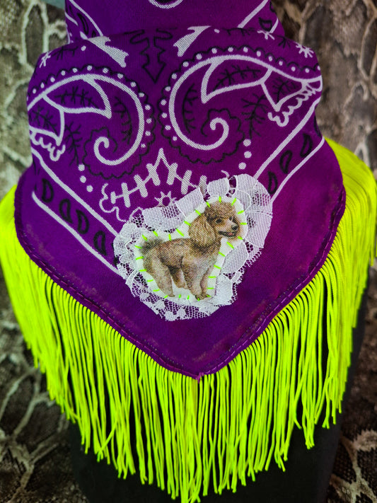 Poodle Bandana